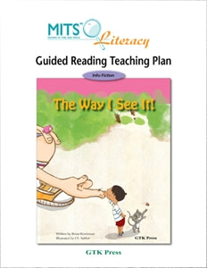 The Way I See It! - teaching plan