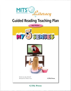 My Five Senses - teaching plan