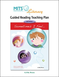 Sometimes I Feel ... - teaching plan